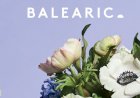 Balearic 3 compiled by Jim Breese