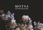 Petricolour Remixed by MOTSA