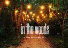 In the Woods Festival 2016