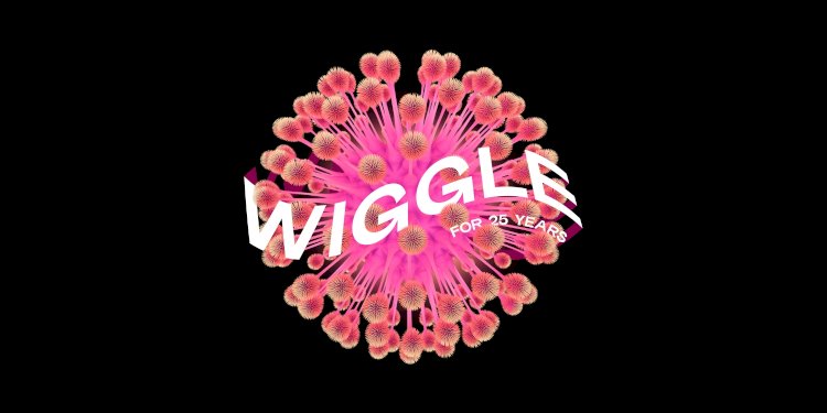 Wiggle for 25 years by Various Artists