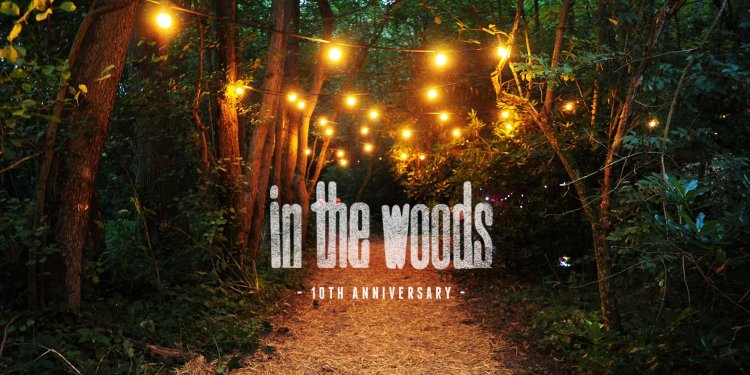In the Woods Festival 2016. Photo by In the Woods 2016