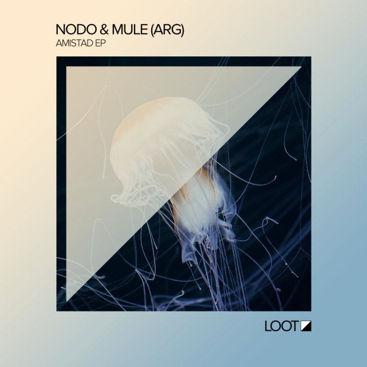 Amistad EP by Nodo & Mule (ARG). Art by Loot Recordings