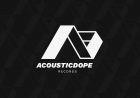 Acousticdope Vol. 1 by Acousticdope Records