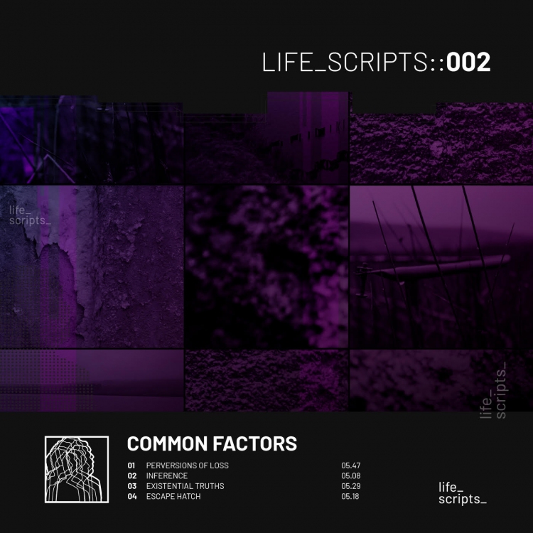 Perversions Of Loss by Common Factors. Art by Life Scripts