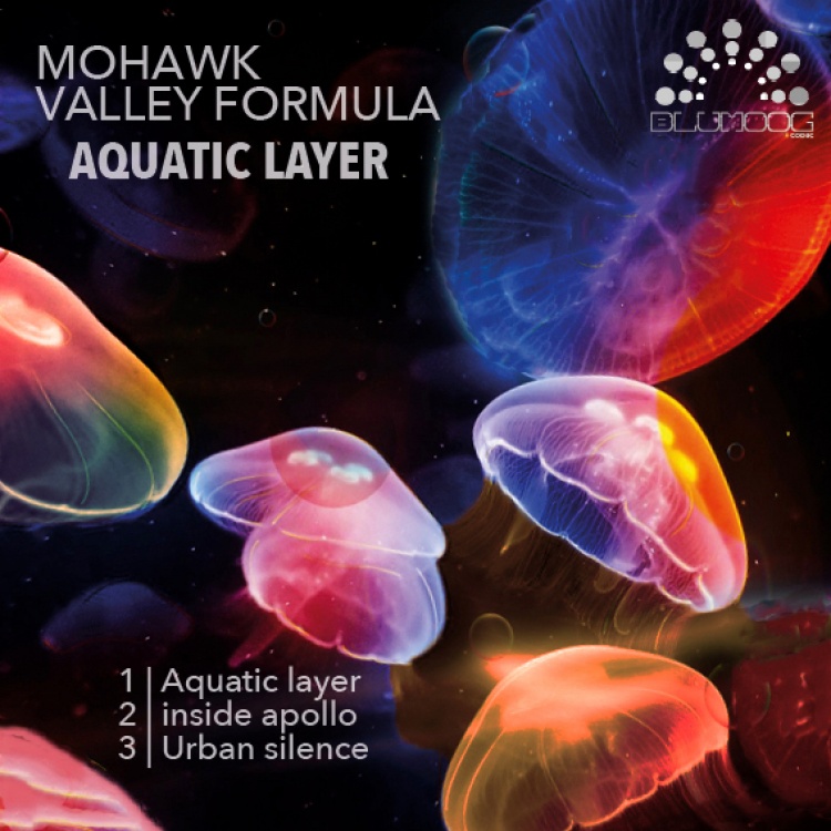 Aquatic Layer by Mohawk Valley Formula. Art by Blumoog Music