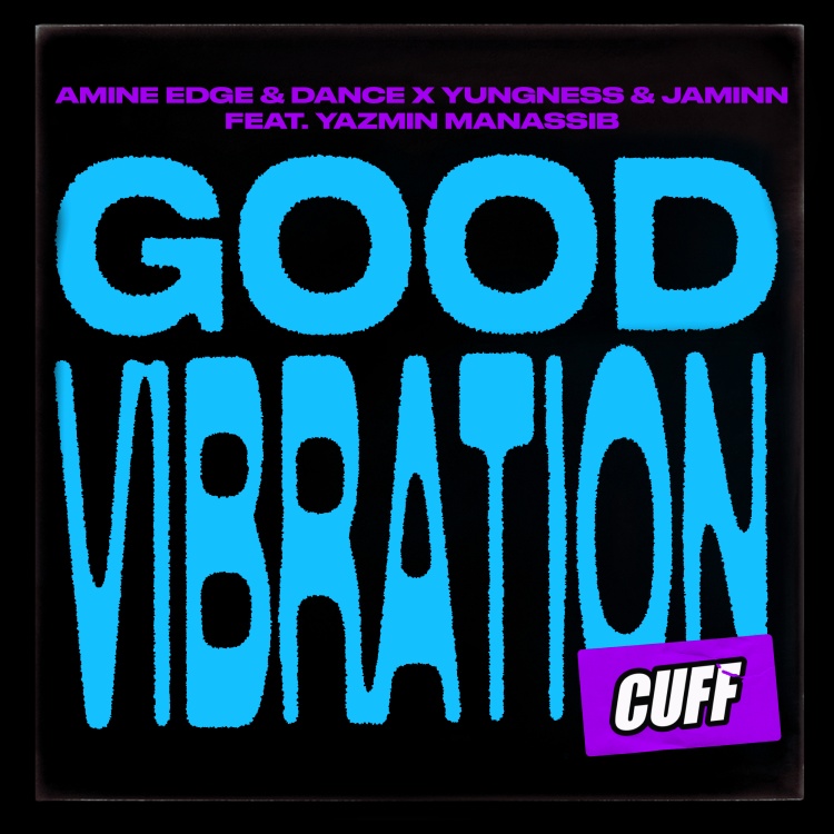 Good Vibration by Amine Edge & DANCE x Yungness & Jaminn feat. Yazmin Manassib