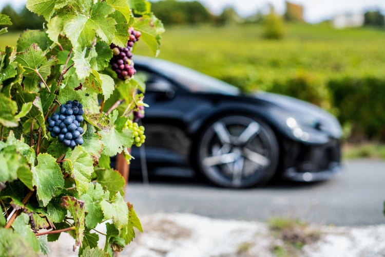Bugatti Chiron hanging out with grapes